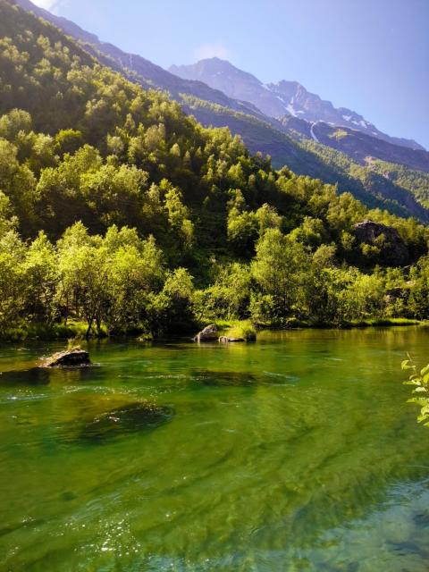 The image depicts a serene natural landscape featuring a clear, green river flowing through a lush, forested valley. In the foreground, the river's water is transparent, revealing rocks beneath the surface, and its green hue is likely influenced by the reflection of the surrounding foliage. The riverbanks are lined with dense greenery, including various trees and shrubs, which add to the vibrant color palette of the scene.

In the background, a mountain range rises majestically, with some peaks still capped with snow, indicating a high altitude. The mountains are partially covered with trees, creating a gradient of green shades that transition from the lower, more densely forested areas to the higher, snow-capped peaks. The sky is clear and blue, suggesting a sunny day with good visibility.

The overall composition of the image emphasizes the natural beauty and tranquility of the landscape, with the river serving as a central element that connects the foreground and background. The interplay of light and shadow on the water and the foliage adds depth and texture to the scene.