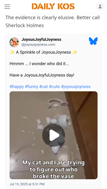 Screenshot of the Daily Kos with a clip of Joy's Bluesky post, part of a series of happiness reposts called Sprinkles of JoyousJoyness. The post reads "Sprinkle of JoyousJoyness. Hmmm... I wonder who did it... Have a JoyousJoyfulJoyness day! #happy #funny #cat #cute #joyousjoyness" The video below has the text, "My cat and I are trying to figure out who broke the vase."