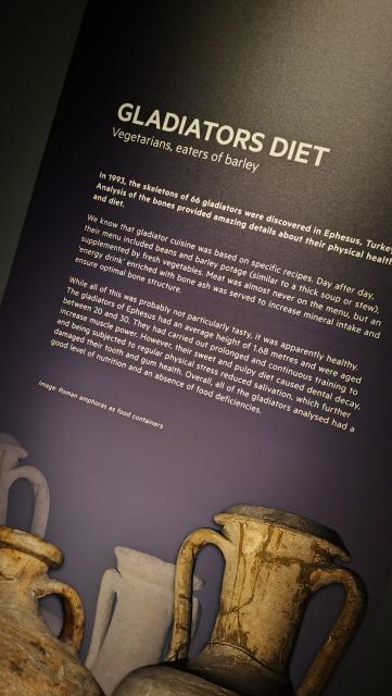 A poster saying: GLADIATORS DIET

Vegetarians, eaters of barley

In 1993, the skeletons of 66 gladiators were discovered in Ephesus, Turkey Analysis of the bones provided amazing details about their physical health and diet.

We know that gladiator cuisine was based on specific recipes. Day after day, their menu included beans and barley potage (similar to a thick soup or stew), supplemented by fresh vegetables. Meat was almost never on the menu, but an 'energy drink' enriched with bone ash was served to increase mineral intake and ensure optimal bone structure.

While all of this was probably not particularly tasty, it was apparently healthy.

The gladiators of Ephesus had an average height of 1.68 metres and were aged between 20 and 30. They had carried out prolonged and continuous training to increase muscle power. However, their sweet and pulpy diet caused dental decay, and being subjected to regular physical stress reduced salivation, which further damaged their tooth and gums