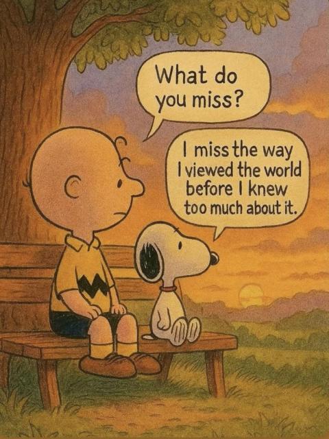Charlie Brown: „What do you miss?“
Snoopy: „I miss the way I viewed the world before I knew too much about it.“

via https://www.instagram.com/philosophaire_