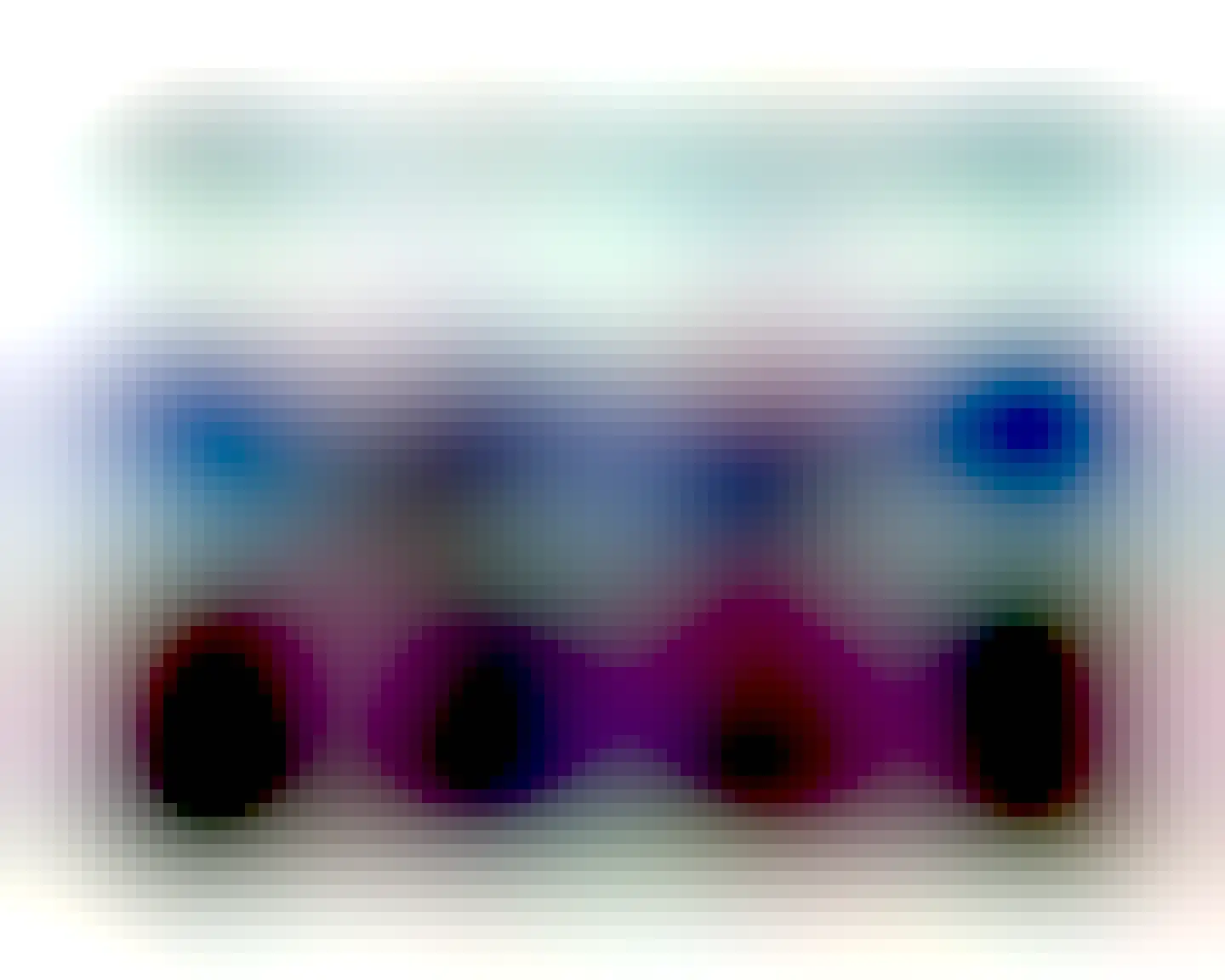 Photo by Caleb “bad flashes” Knueven on July 29, 2025. May be an image of 4 people and text.