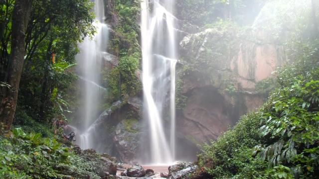 #Research finds tropical #forests matter to us all! They suck out #carbondioxide and ensure we can breathe, drink and eat. Yet they're fast disappearing! Resist #extinction every time you shop, be #vegan 🍉🍑 #Boycottpalmoil 🌴🔥🤮⛔️ #Boycott4Wildlife https://palmoildetectives.com/2023/08/16/we-tracked-300000-trees-only-to-find-that-rainforests-are-losing-their-power-to-help-humanity/?utm_source=mastodon&utm_medium=Palm+Oil+Detectives&utm_campaign=publer