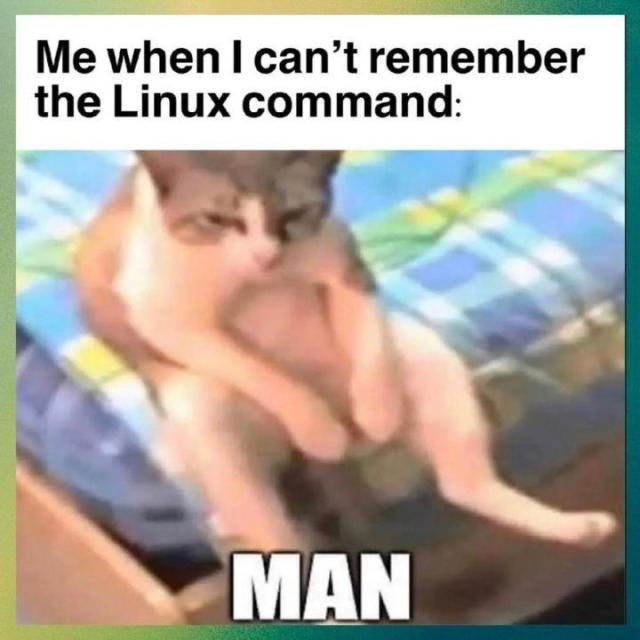 Me when I can't remember a Linux command:

There's a visibly confused cat sitting on a bed, saying "MAN".