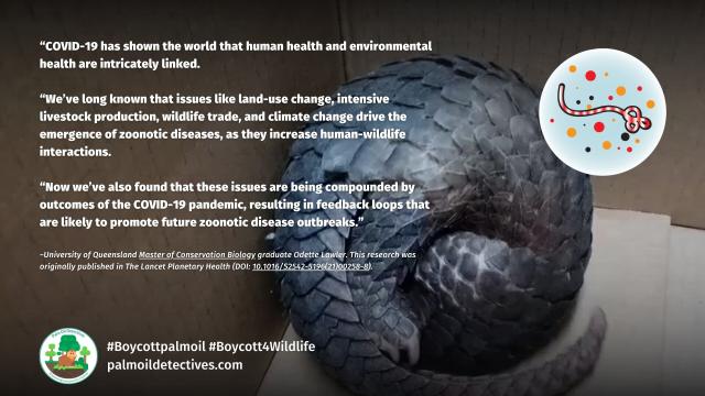 @UQ_News research published in @TheLancetPlanet finds that #pandemics are linked to #ecosystem and #biodiversity declines, with viruses jumping from animals to humans. Urgent #publichealth and #conservation policies needed #Boycott4Wildlife @palmoildetect.bsky.social https://wp.me/pcFhgU-77u?utm_source=mastodon&utm_medium=Palm+Oil+Detectives&utm_campaign=publer 