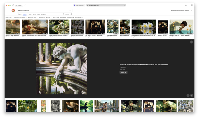 DuckDuckGO image results for "narcissus reflection"
