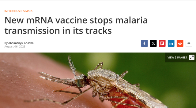 Screenshot of first story.