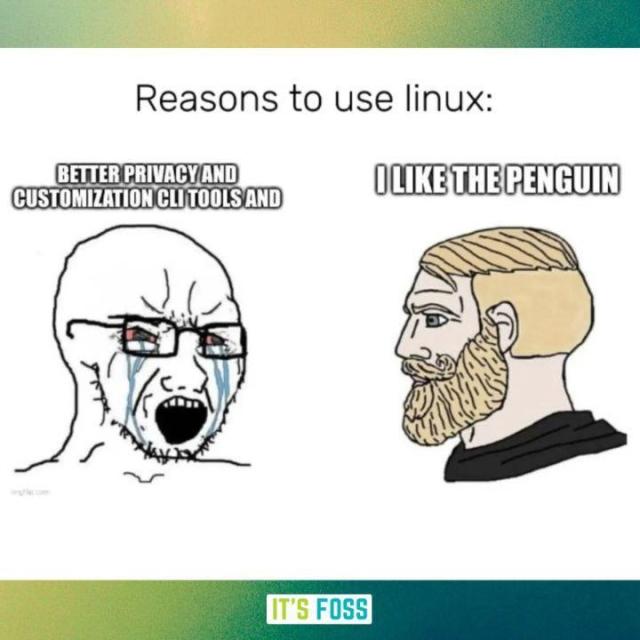 Reasons to use Linux:

A crying (butthurt) bald person is seen saying: Better privacy and customization cli tools and...

The second bearded man is seen saying this with a stoic expression:

I like the Penguin.
