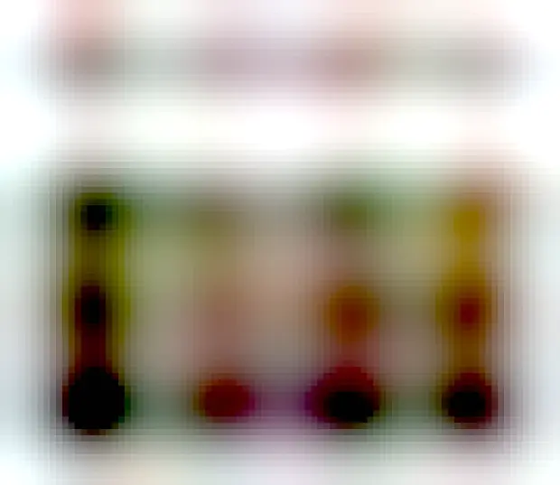 Screenshot of The Independent's Bulletin. "Breakthrough in efforts to reintroduce rare bird to Kent" by Emily Beament, Thursday 07 August 2025 10:33 BST with a half blurry pic of a beaver near water and: "Related: First baby beavers born in Norfolk for 600 years caught on camera". No links to an related article. A blue "download" button in the upper right corner (doesn't work). I marked with red the sounds for hallucinating a bird beaver and the blurry bad quality of the photo.