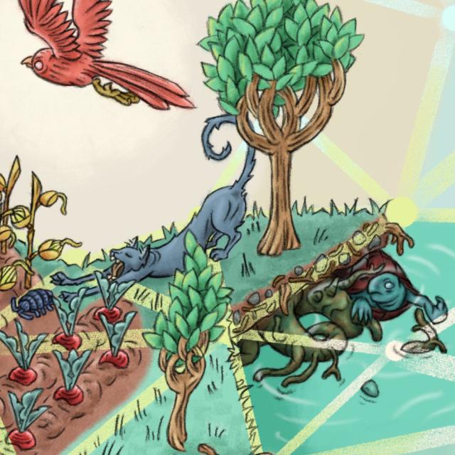 Una imagen realizada con la técnica de pintura digital, en la que se representa una especie de isla, inspirada en la chinampa mexicana, afianzada al lecho de un cuerpo de agua, con unos arboles.

Esta isla, con una topología cuasi geométrica, sostiene unas pequeñas parcelas de cultivos. Y la habitan también bihos varios: perro, gato, gusanos, catarinas.

Debajo de la isla. hay también seres vivos: un pez, un ajolote y una tortuga. Ademas de piedras y caracoles.