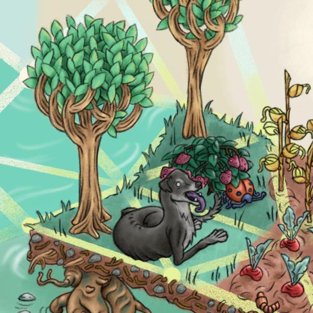 Una imagen realizada con la técnica de pintura digital, en la que se representa una especie de isla, inspirada en la chinampa mexicana, afianzada al lecho de un cuerpo de agua, con unos arboles.

Esta isla, con una topología cuasi geométrica, sostiene unas pequeñas parcelas de cultivos. Y la habitan también bihos varios: perro, gato, gusanos, catarinas.

Debajo de la isla. hay también seres vivos: un pez, un ajolote y una tortuga. Ademas de piedras y caracoles.