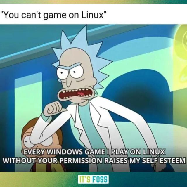 Someone says, "You can't game on Linux".

To that, a man (Rick) replies with an angry expression, saying, "Every Windows game I play on Linux without your permission raises my self esteem".

You can also see a little boy (Morty) standing towards the left.