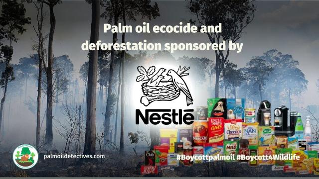 Not only does #Nestle believe water is not a #humanright they prioritise dirty #palmoil greed and profit over #humanrights and #animalrights. Boycott the faux "sustainable" palm oil of Nestle!  #Boycottpalmoil #Boycott4Wildlife ☠️🌴🚫 https://palmoildetectives.com/2021/02/09/nestle/?utm_source=mastodon&utm_medium=Palm+Oil+Detectives&utm_campaign=publer via @palmoildetect  