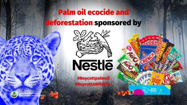 Not only does #Nestle believe water is not a #humanright they prioritise dirty #palmoil greed and profit over #humanrights and #animalrights. Boycott the faux "sustainable" palm oil of Nestle!  #Boycottpalmoil #Boycott4Wildlife ☠️🌴🚫 https://palmoildetectives.com/2021/02/09/nestle/?utm_source=mastodon&utm_medium=Palm+Oil+Detectives&utm_campaign=publer via @palmoildetect  