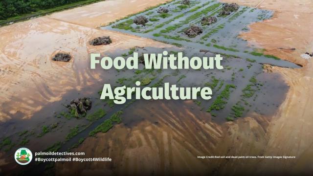 #Research in @natecoevo.nature.com finds lab-produced #palmoil has enormous potential to reduce #GHG emissions, #deforestation, water use. Reducing the climate impact of #agriculture over the decades #Boycottpalmoil #Boycott4Wildlife @palmoildetect.bsky.social https://palmoildetectives.com/2024/01/21/food-without-agriculture/?utm_source=mastodon&utm_medium=Palm+Oil+Detectives&utm_campaign=publer  