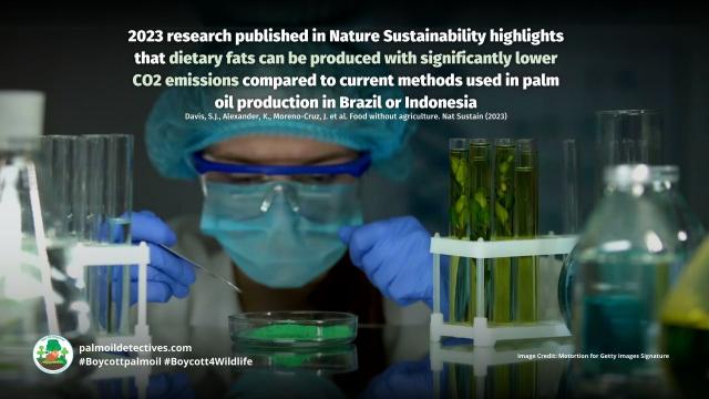 #Research in @natecoevo.nature.com finds lab-produced #palmoil has enormous potential to reduce #GHG emissions, #deforestation, water use. Reducing the climate impact of #agriculture over the decades #Boycottpalmoil #Boycott4Wildlife @palmoildetect.bsky.social https://palmoildetectives.com/2024/01/21/food-without-agriculture/?utm_source=mastodon&utm_medium=Palm+Oil+Detectives&utm_campaign=publer  