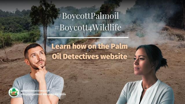 #Research in @natecoevo.nature.com finds lab-produced #palmoil has enormous potential to reduce #GHG emissions, #deforestation, water use. Reducing the climate impact of #agriculture over the decades #Boycottpalmoil #Boycott4Wildlife @palmoildetect.bsky.social https://palmoildetectives.com/2024/01/21/food-without-agriculture/?utm_source=mastodon&utm_medium=Palm+Oil+Detectives&utm_campaign=publer  