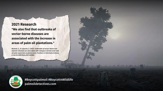Stopping tropical #deforestation and illegal #wildlife trade is a minor cost compared to stopping #zoonotic #diseases - Prof. Stuart Pimm #Boycottpalmoil #Boycott4Wildlife @palmoildetect.bsky.social  https://palmoildetectives.com/2023/06/04/preventing-pandemics-costs-far-less-than-controlling-them/?utm_source=mastodon&utm_medium=Palm+Oil+Detectives&utm_campaign=publer   