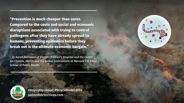Stopping tropical #deforestation and illegal #wildlife trade is a minor cost compared to stopping #zoonotic #diseases - Prof. Stuart Pimm #Boycottpalmoil #Boycott4Wildlife @palmoildetect.bsky.social  https://palmoildetectives.com/2023/06/04/preventing-pandemics-costs-far-less-than-controlling-them/?utm_source=mastodon&utm_medium=Palm+Oil+Detectives&utm_campaign=publer   
