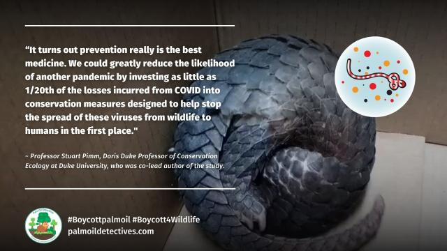 Stopping tropical #deforestation and illegal #wildlife trade is a minor cost compared to stopping #zoonotic #diseases - Prof. Stuart Pimm #Boycottpalmoil #Boycott4Wildlife @palmoildetect.bsky.social  https://palmoildetectives.com/2023/06/04/preventing-pandemics-costs-far-less-than-controlling-them/?utm_source=mastodon&utm_medium=Palm+Oil+Detectives&utm_campaign=publer   