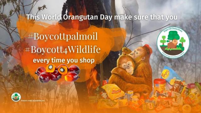 Happy #WorldOrangutanDay, download your #FREE #infographic in the link 🧐👇 You've been sold a lie! #Orangutans face extinction from "sustainable" #palmoil, which DOES NOT STOP #DEFORESTATION 🔥🌴🚫 #Boycottpalmoil #Boycott4Wildlife! @palmoildetect.bksy.social  https://wp.me/pcFhgU-4t7?utm_source=mastodon&utm_medium=Palm+Oil+Detectives&utm_campaign=publer  