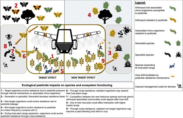 Scheme over pesticides' direct and indirect impacts on ecosystem functioning following the development of resistance, from target to non-target arthropod species.