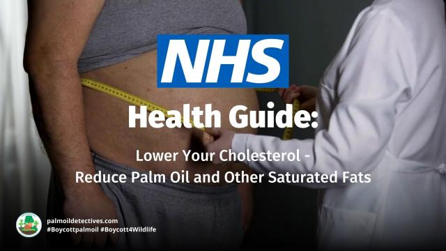 This NHS #factsheet recommends that you #Boycottpalmoil for your #health. Eating #palmoil is linked to #stroke 🫀🫁 #heartdisease #obesity and more. Go #palmoilfree for yourself and rainforest animals 🦏🐅🐘🦧🦍🐍🦉🦜 #Boycott4Wildlife @palmoildetect.bsky.social  https://palmoildetectives.com/2023/04/12/nhs-health-guide-lower-your-cholesterol-reduce-palm-oil-and-other-saturated-fats/?utm_source=mastodon&utm_medium=Palm+Oil+Detectives&utm_campaign=publer   