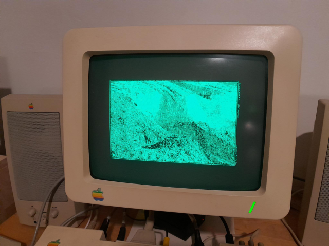 A mountain picture with an ibex in front of a glacier. It's displayed in green and white on my Apple II monitor.