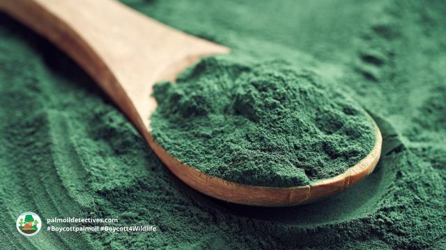 #Agriculture is destroying the planet - #algae is a #climatechange resilient answer needing no land to grow, it has a superb nutrients for human #health and more 🌱🍃🥕🥦  #Boycottpalmoil go #vegan  🌴🔥❌ #Boycott4Wildlife  @palmoildetect.bsky.social https://palmoildetectives.com/2022/12/28/soy-and-palm-oil-agriculture-is-destroying-the-planet-algae-is-the-answer/?utm_source=mastodon&utm_medium=Palm+Oil+Detectives&utm_campaign=publer  