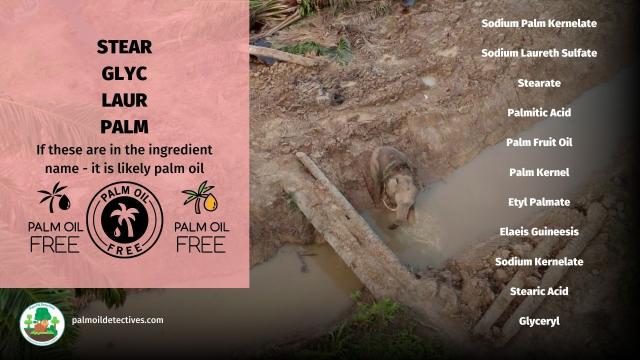 Want to be beautiful inside and out? Make sure you boycott ugly brands like #Unilever #Revlon and #Maybelline #MAC that use #palmoil in their #makeup. Search for #PalmOilFree brands now ⏬ and #BoycottPalmOil 🌴🩸🤮☠️🙈⛔️#Boycott4Wildlife  @palmoildetect.bsky.social  https://palmoildetectives.com/2021/02/11/palm-oil-free-makeup-and-cosmetics/?utm_source=mastodon&utm_medium=Palm+Oil+Detectives&utm_campaign=publer  