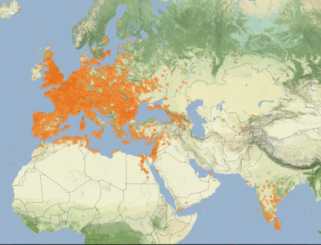 A data visualization map showing Europe, North Africa, the Middle East, and the Indian subcontinent, which are covered in thousands of small orange dots.

The dots are extremely dense throughout Europe, with other significant clusters in the Nile Valley, the Levant, and across India.