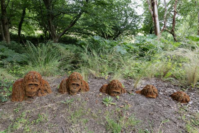 A series of orangutans apparently progressively sinking into the ground
