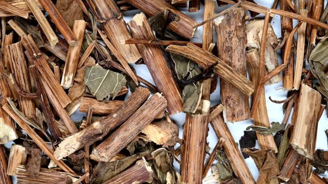 #Forests 🌳🌿🍃play a critical role in helping #indigenous communities who rely on wild #food to diversify their #diet and meet their nutritional needs. Resist in solidarity for them #Boycottpalmoil 🌴🪔🧐⛔️#Boycott4Wildlife  @palmoildetect.bsky.social https://palmoildetectives.com/2022/12/14/researchers-find-direct-links-between-deforestation-and-reduced-dietary-quality/?utm_source=mastodon&utm_medium=Palm+Oil+Detectives&utm_campaign=publer  