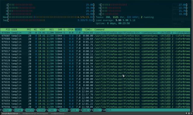htop screenshot