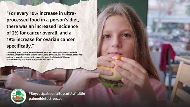 Eating ultra-processed #UPF #food like #palmoil 🌴 is damaging not only to #rainforest #ecosystems and 1000's of animals but also to people's #health 🤮 its connected to #obesity. Choose healthy, be #vegan #Boycottpalmoil #Boycott4Wildlife 
 @palmoildetect.bsky.social  https://wp.me/pcFhgU-8SW?utm_source=mastodon&utm_medium=Palm+Oil+Detectives&utm_campaign=publer   