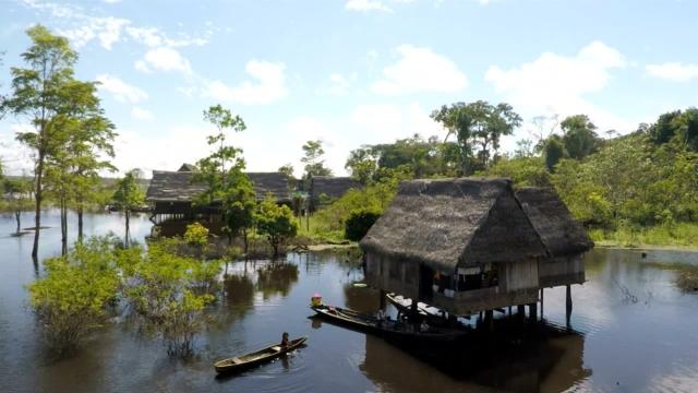 #Forests cool the planet, like natural #aircon. What happens when you cut them down? #Deforestation heats areas up to 4.5℃! Keep forests standing for #people and animals! #Boycottpalmoil 🌴🪔🧐🙊⛔️ #BoycottGold 🥇🪙🧐🙊🚫 #Boycott4Wildlife @palmoildetect.bsky.social  https://palmoildetectives.com/2022/08/14/without-tropical-forests-global-temperatures-would-be-1c-warmer/?utm_source=mastodon&utm_medium=Palm+Oil+Detectives&utm_campaign=publer  