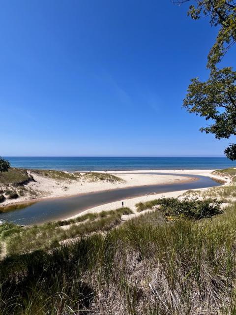 A scenic view of a beach from atop of a sand dune showing a stream curving through the sand below and flowing into Lake Michigan. There are grassy dunes in the foreground and a clear blue sky above. The water is calm, reflecting the warm weather and inviting atmosphere.