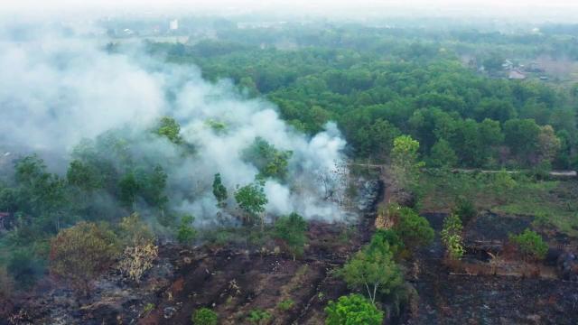  #News: 🌴☠️ #Palmoil ecocide repeats the historical bison massacre pattern! Ancient rainforests are destroyed for cheap commodities whilst communities and animals pay the price 🔥 ⛔️ #BoycottPalmOil #Boycott4Wildlife @palmoildetect https://rsis.edu.sg/rsis-publication/rsis/a-decade-of-planetary-health-learning-from-the-past-and-securing-earths-future/?utm_source=mastodon&utm_medium=Palm+Oil+Detectives&utm_campaign=publer