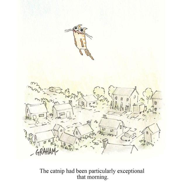 A cartoon illustration of a smiling cat floating high above a neighborhood. Caption reads "The catnip had been particularly exceptional that morning."