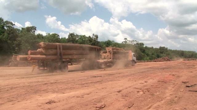 ☠️🌴 #News: #Brazil SUSPENDS #Amazon #Soy Moratorium just before #COP30! 18,000 sq km of rainforest is now risk! Deforestation could spike from 1% to 30% again 🔥 #Boycott4Wildlife @palmoildetect https://news.mongabay.com/short-article/2025/08/brazil-suspends-amazon-soy-moratorium-raising-fears-of-deforestation-spike/?utm_source=mastodon&utm_medium=Palm+Oil+Detectives&utm_campaign=publer
