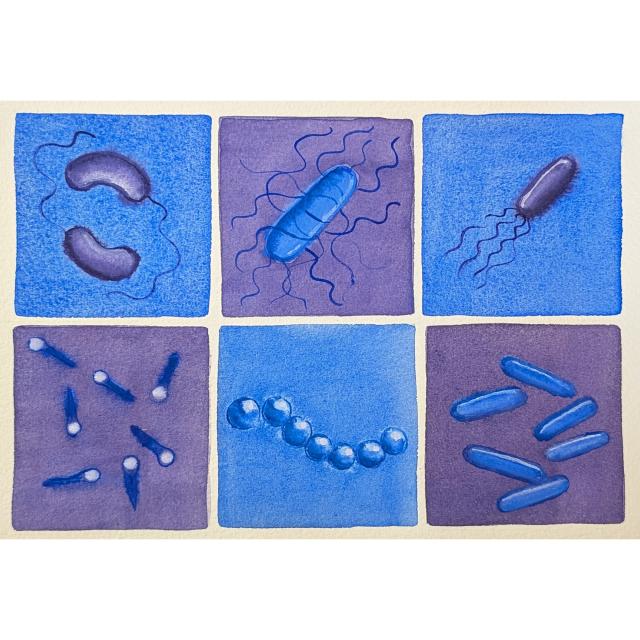 watercolor bacteria in blue and purple