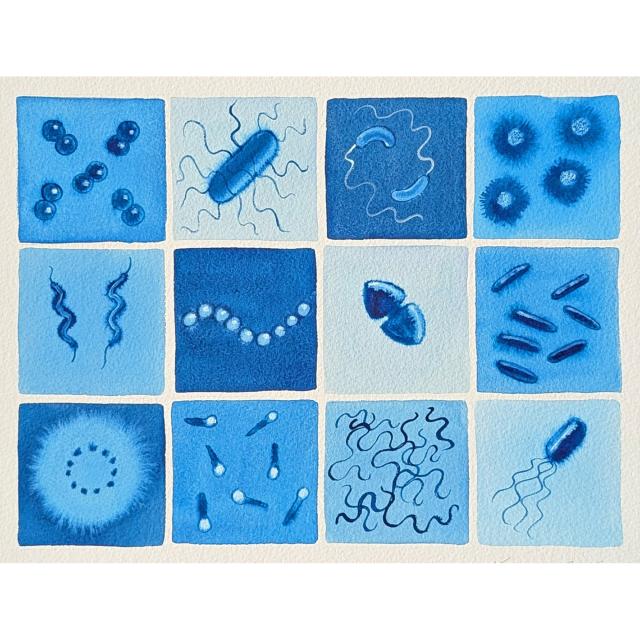 watercolor bacteria in blue and white 