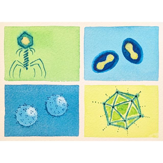 watercolor viruses in blue and green