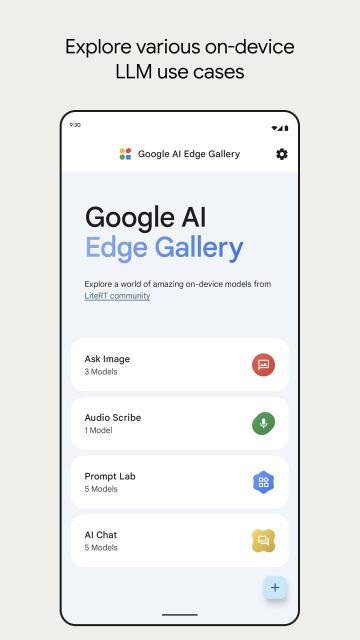 A screenshot of the Google AI Edge Gallery app.   https://github.com/google-ai-edge/gallery