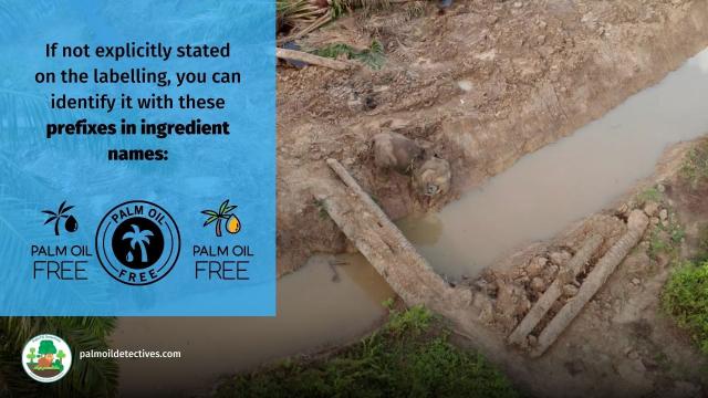 Protect yourself from the #sun 🌞⛱️🌻 while protecting 1000's of #animals 🦧🦜🪲🦏🐘 from #palmoil #ecocide. Reject #beauty brands like #Loreal and Avon and find #PalmOilFree #Sunscreen. Fight back now! #BoycottPalmOil #Boycott4Wildlife @palmoildetect.bsky.social  https://palmoildetectives.com/2021/09/18/palm-oil-free-sunscreens/?utm_source=mastodon&utm_medium=Palm+Oil+Detectives&utm_campaign=publer  