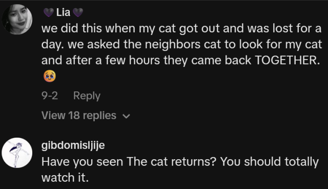 cat returns