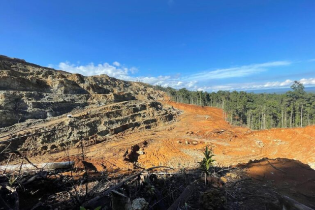 #News:  #Norway’s $1.6 T wealth #fund just dumps #mining giant #Eramet 🚫 over #deforestation and #indigenousrights violations. #Investors now see dirty nickel isn’t “green”.  Blue-eyed #cockatoo and many others threatened @palmoildetect https://news.mongabay.com/2025/09/norway-fund-drops-eramet-over-indonesia-mine-threatening-forests-indigenous-tribe/

