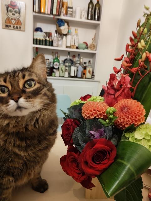 The same tabby cat is looking manically back toward the camera from the flowers with evil/ecstatic intent in her green eyes