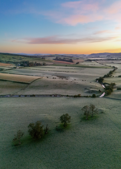 The first proper frost of the season has turned the landscape into pastel shades of green and gold here in Galloway South West Scotland. It’s before Sunrise and shallow pools of mist sit in the hollows. The foreground has a short line of Ash Trees, still wearing theirs Summer coat but there are signs of Autumn in the hedgerows as the Hawthorn shows its red berries. 