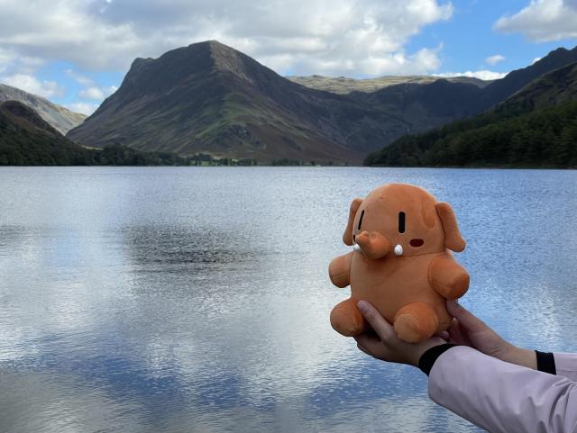 A small apricot colored Mastodon stuffed toy being held up in front of Buttermere. 