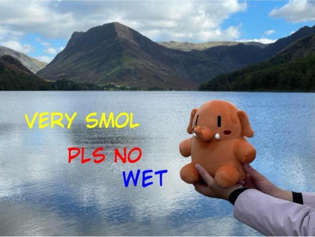A small apricot colored Mastodon stuffed toy being held up in front of Buttermere. On the left, in comic font it says, very smol in yellow, pls no in red and wet in blue.